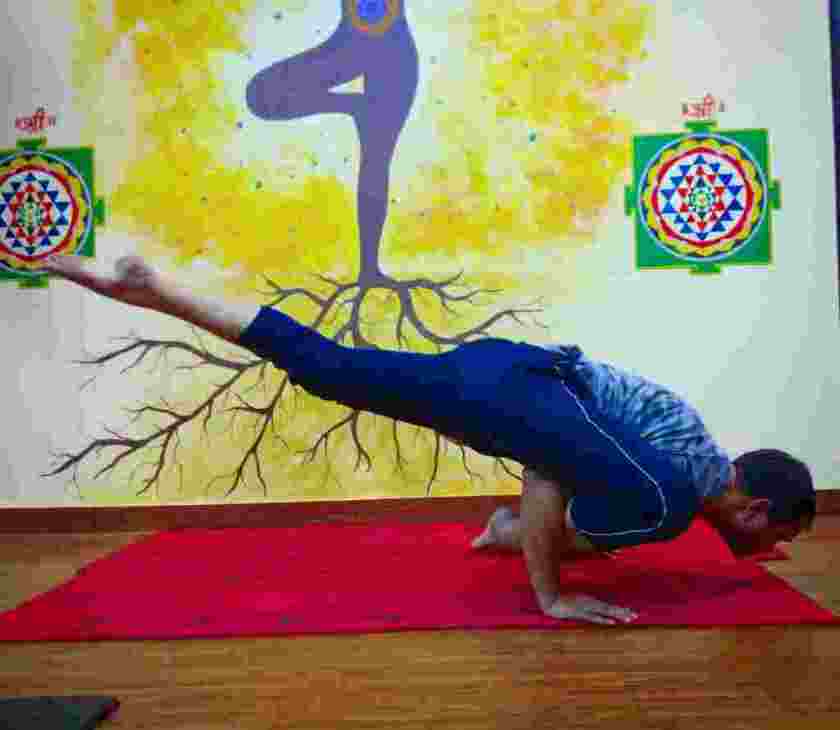 Lizard Pose - Hari om Yoga Vidya School - Medium