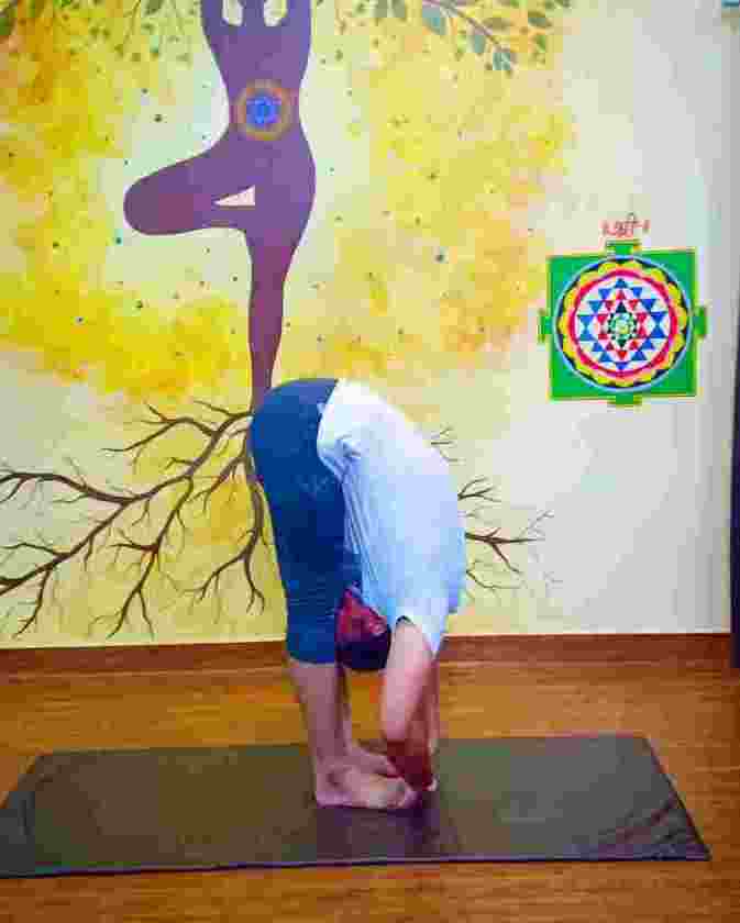 Padahastasana – Hand to Foot Pose – Yoga Hatha Yoga